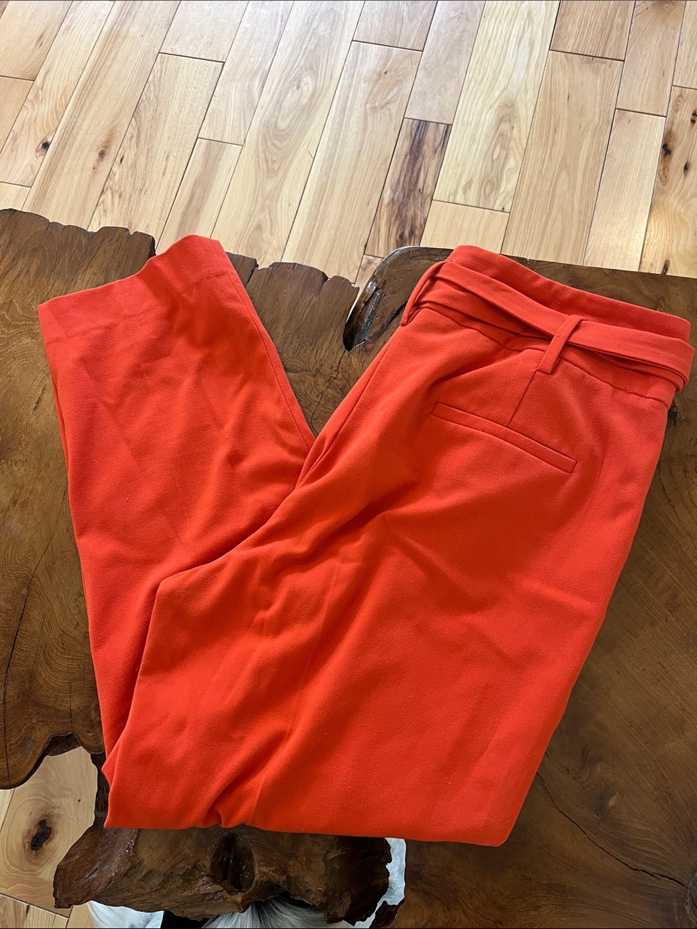 Dkny Women's Straight Leg Pants in Bright Orange-Red